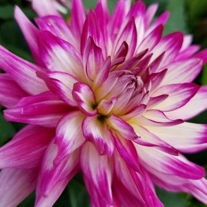 Meet your Posher, Sk